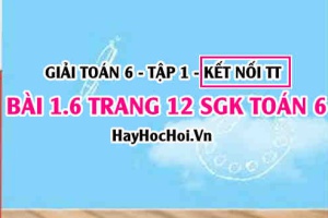 Giải bài 1.6 trang 12 Toán 6 Tập 1 SGK Kết nối tri thức